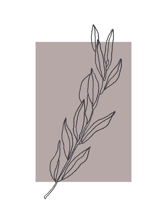 Flowers Line Art Three