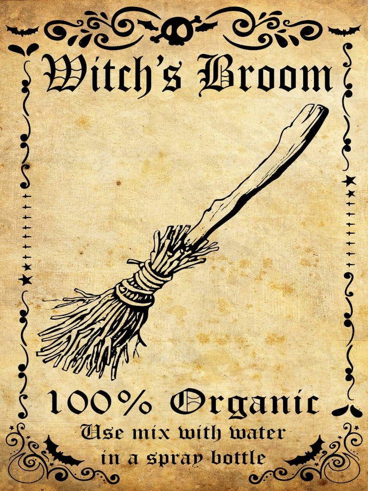 Witch Broom