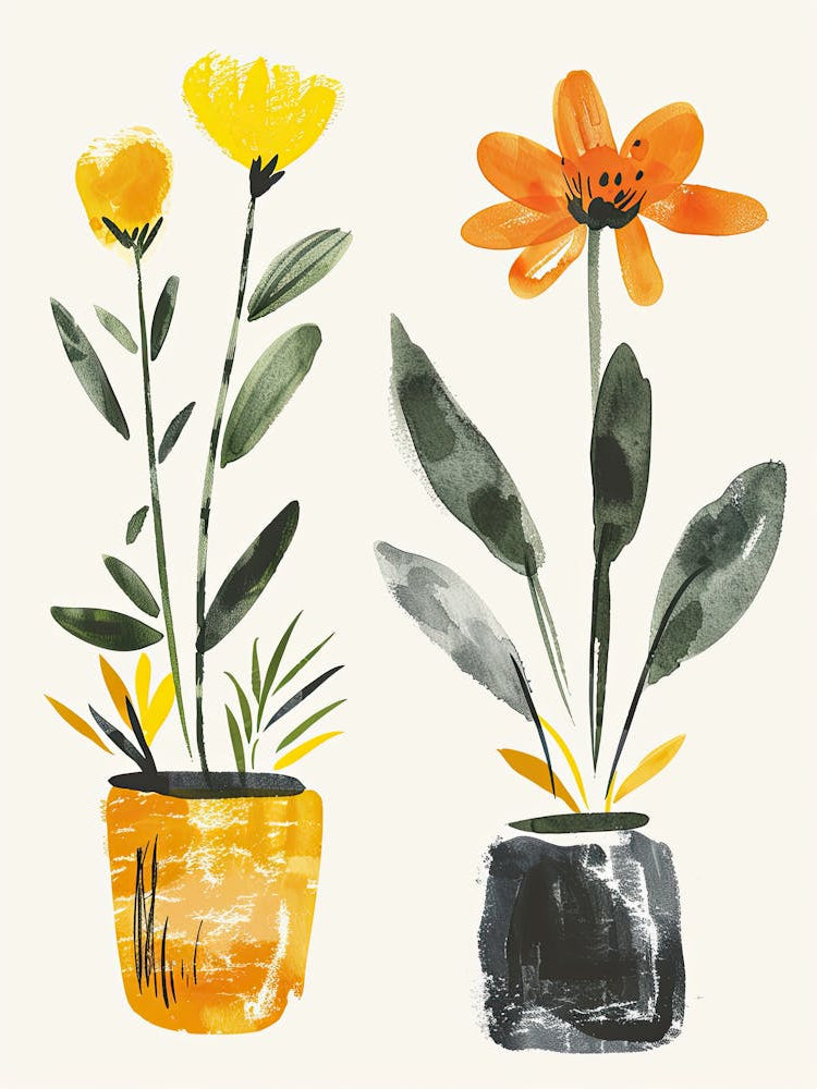 Flowers In Pots, Boho