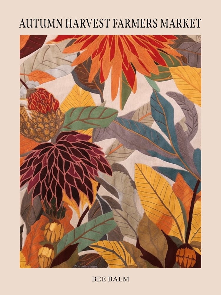 Fall Botanicals Bee Balm 1 Poster