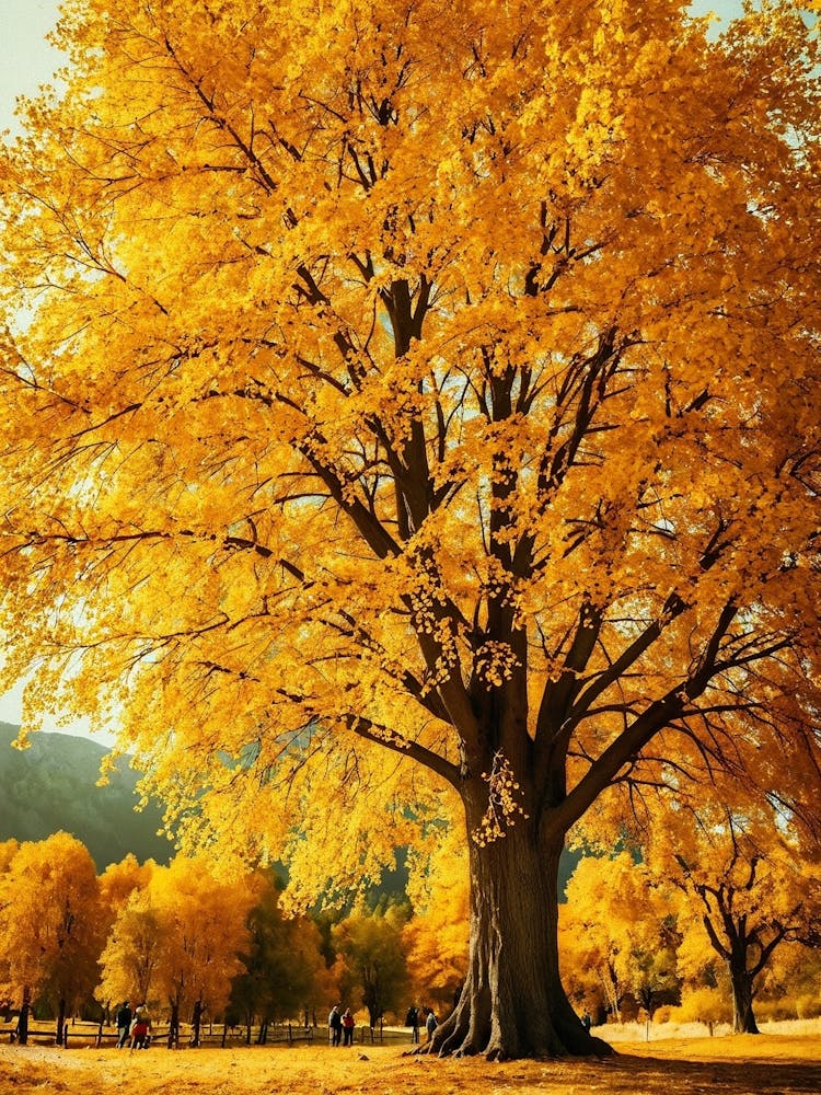 Autumn Tree In The Park