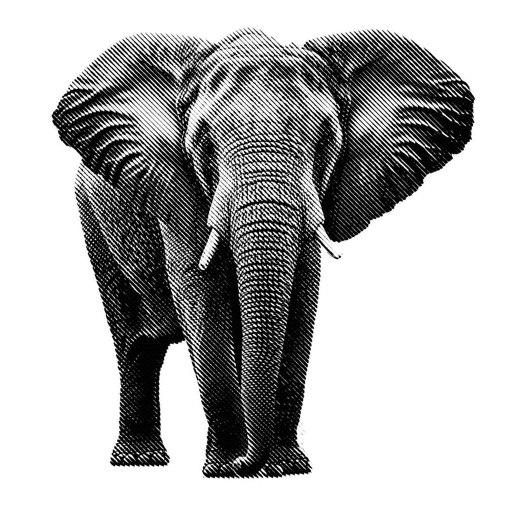 Elephant Line Art