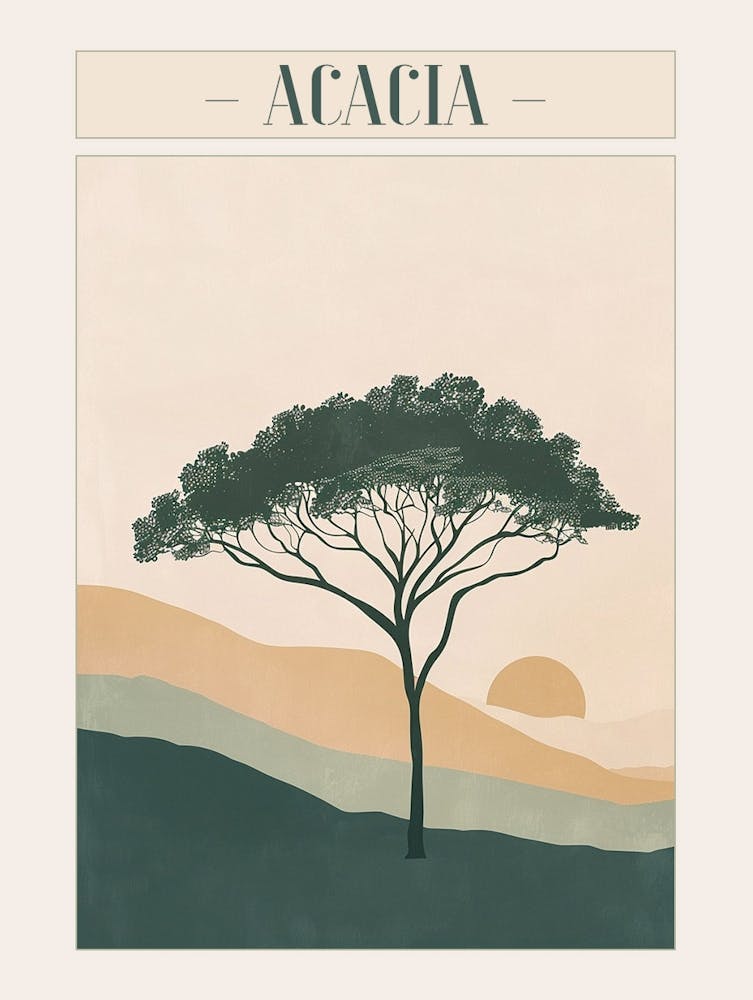 Acacia Tree Minimal Japandi Illustration 1 Poster