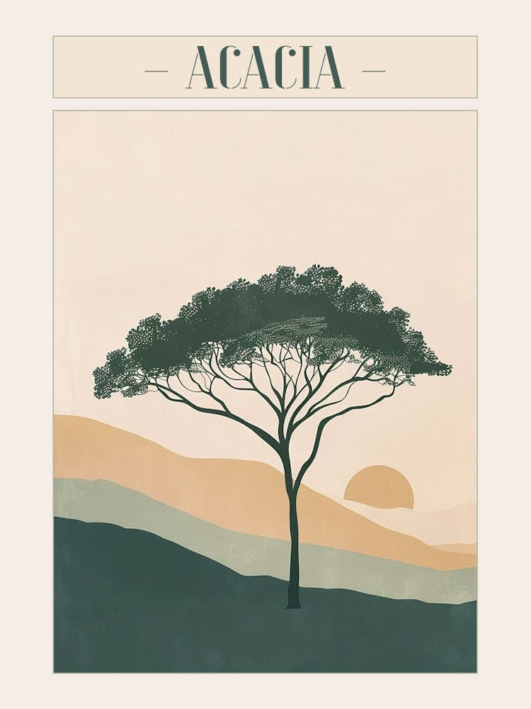Acacia Tree Minimal Japandi Illustration 1 Poster