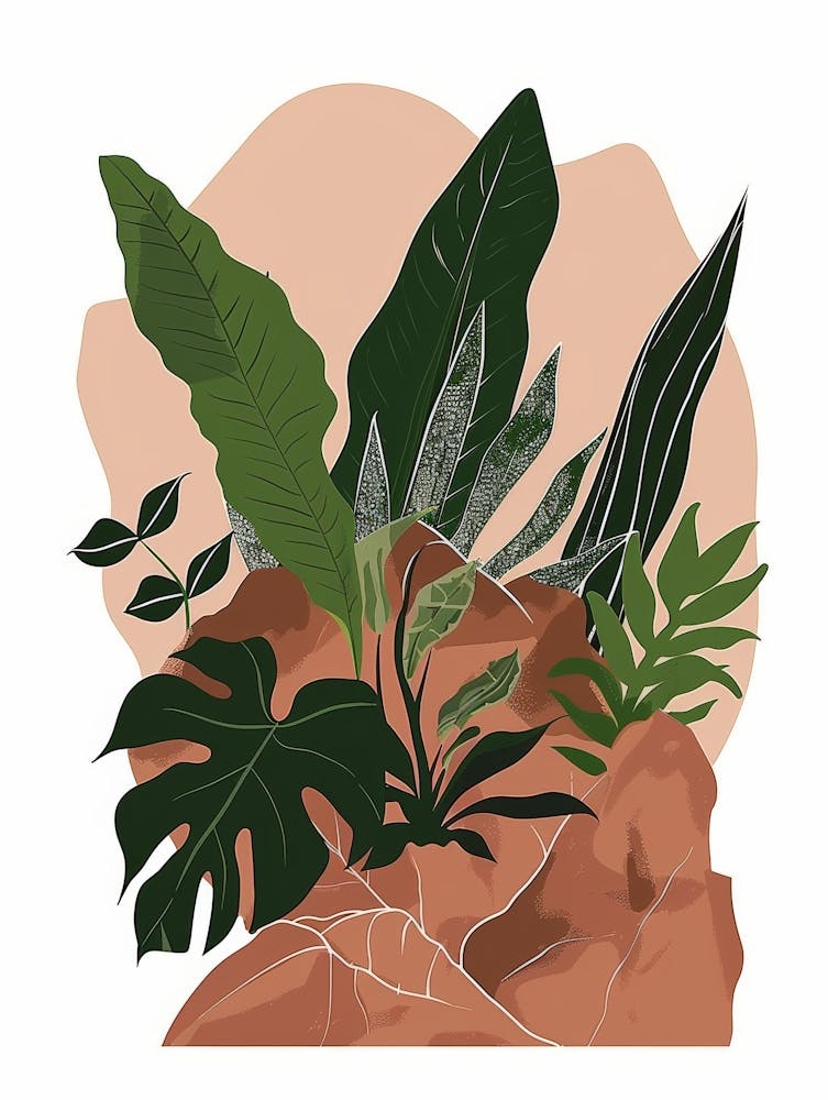 Tropical Plants 8