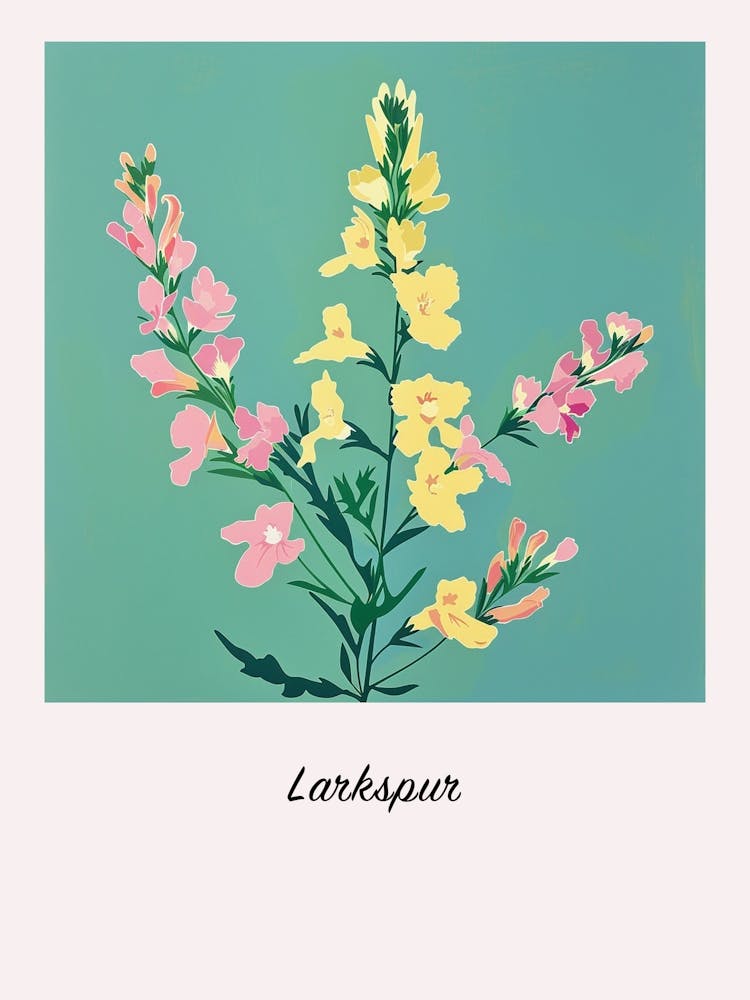 Larkspur Square Flower Illustration Poster