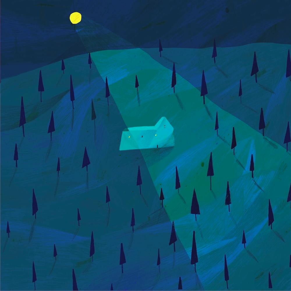 A Night In The Forest