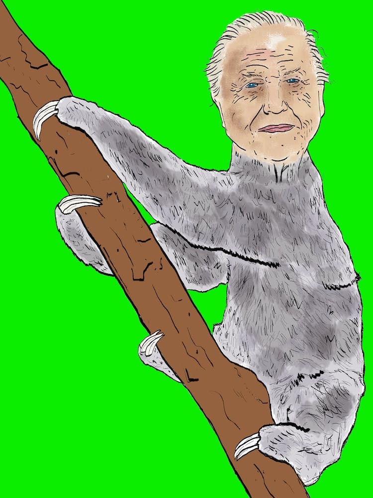 Sir David Sloth
