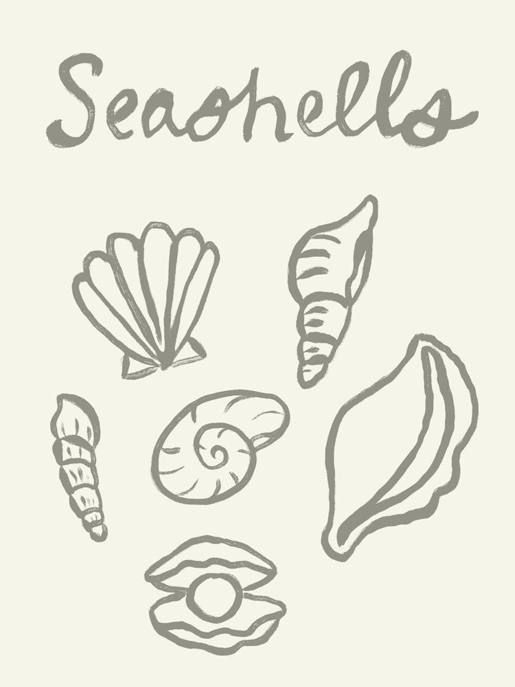 Seashell Doodles, Seashell Line Art, Minimalism Seashell Design 7