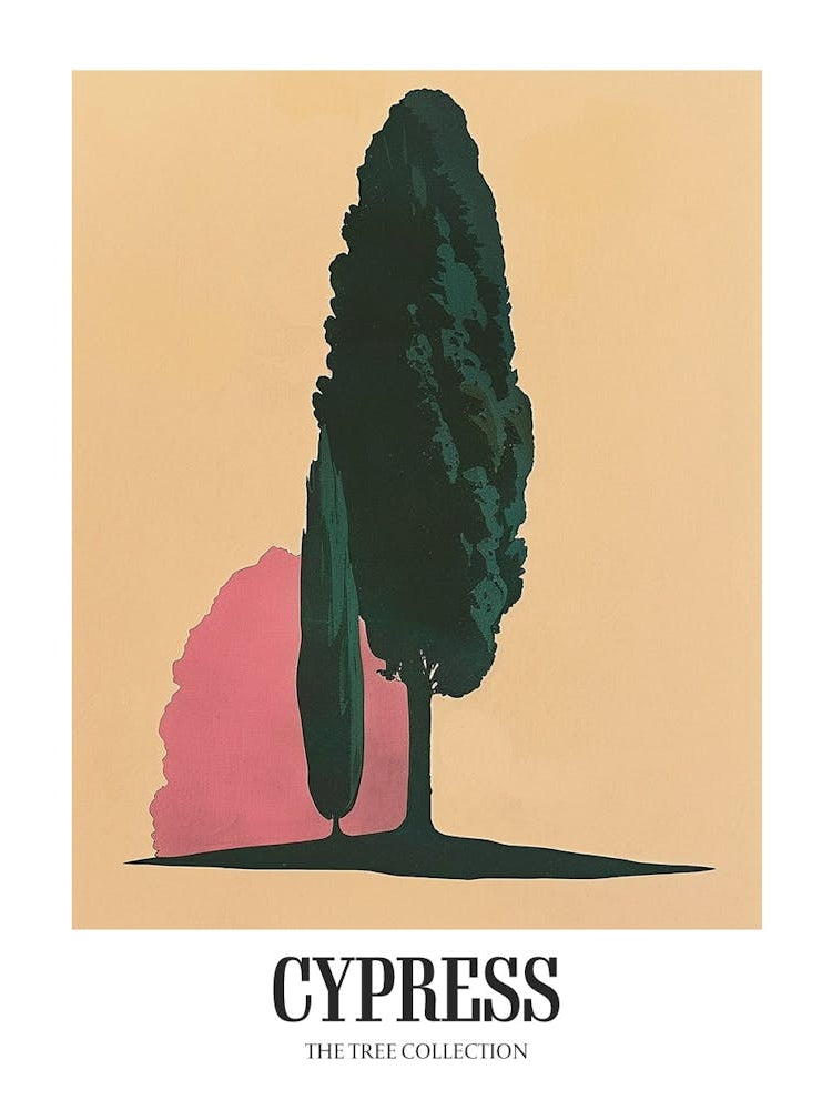 Cypress Tree Colourful Illustration 3 Poster
