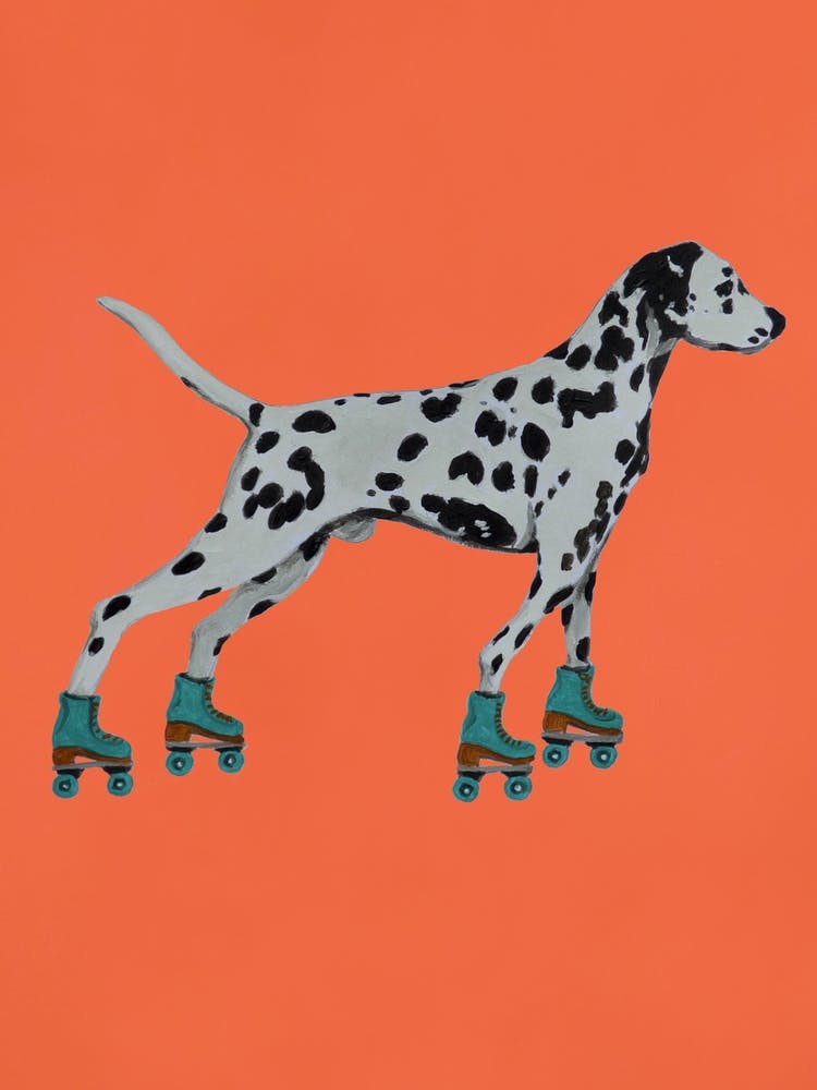 Dalmatian With Rollerskates