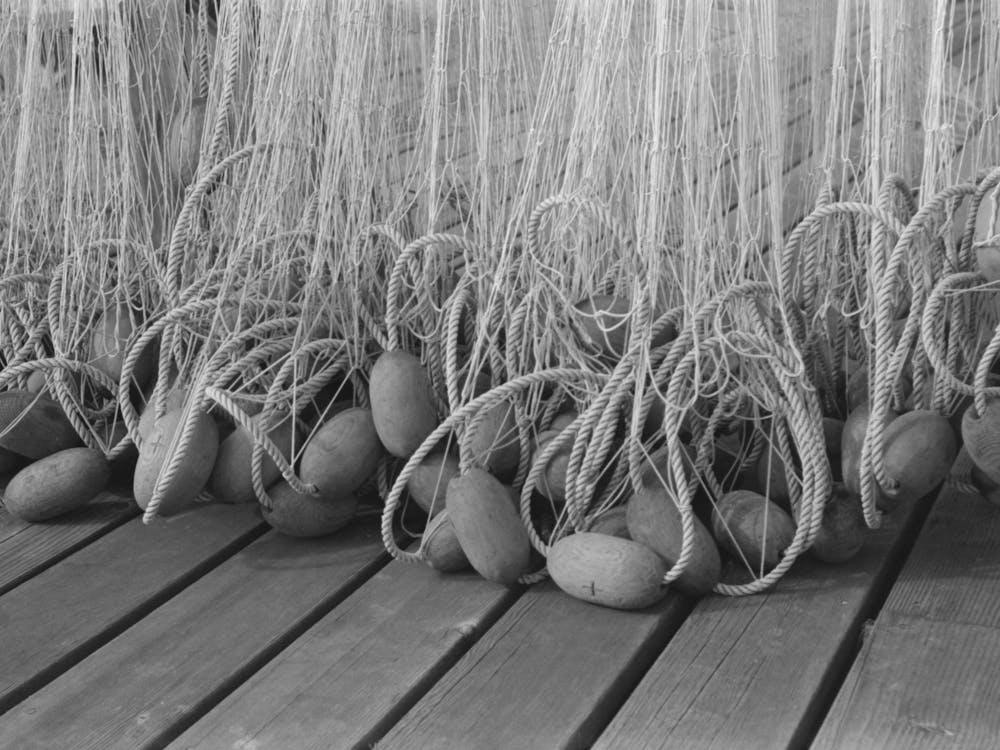 Floats On Nets Used In Salmon Fishing, Astoria, Oregon By Russell Lee