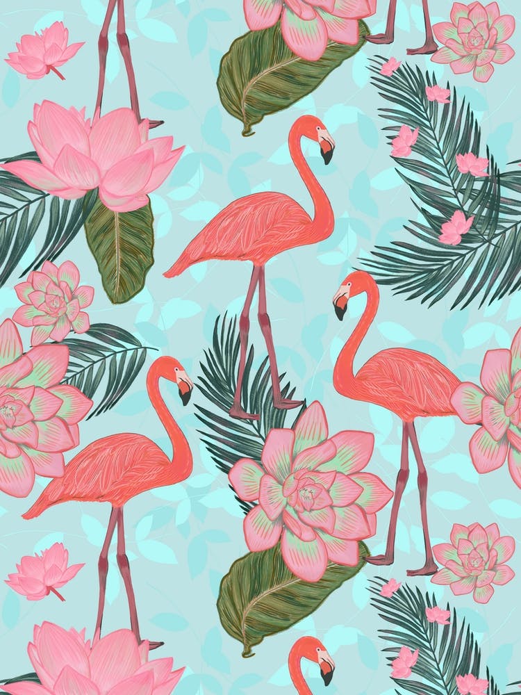 Flamingos Lotusblume