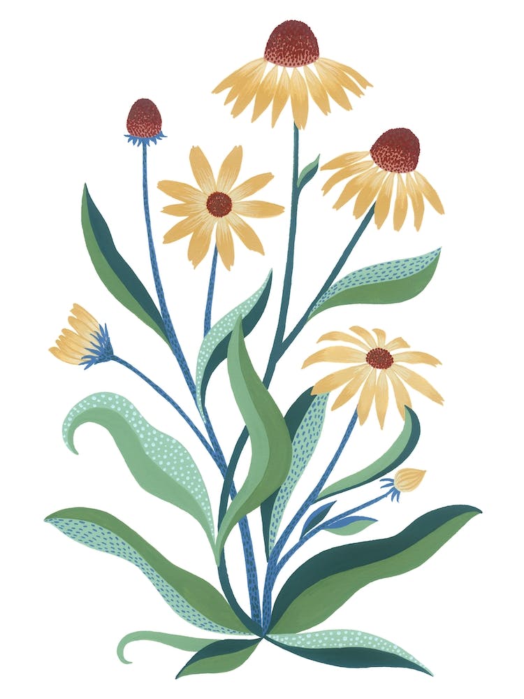 Wild Yellow Coneflower Botanical Painting