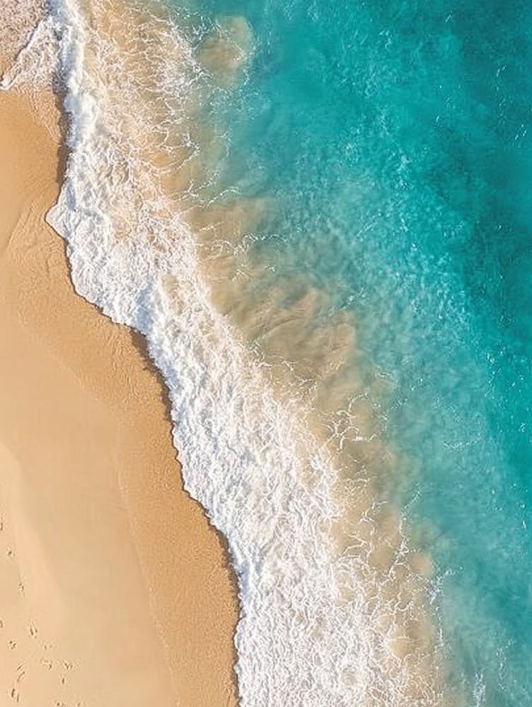 Aerial Beach Scene 2