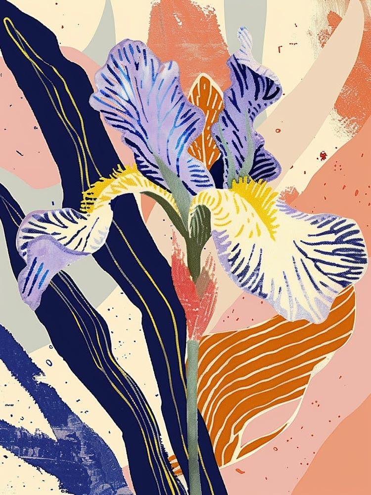 Colourful Flower Illustration Iris 4