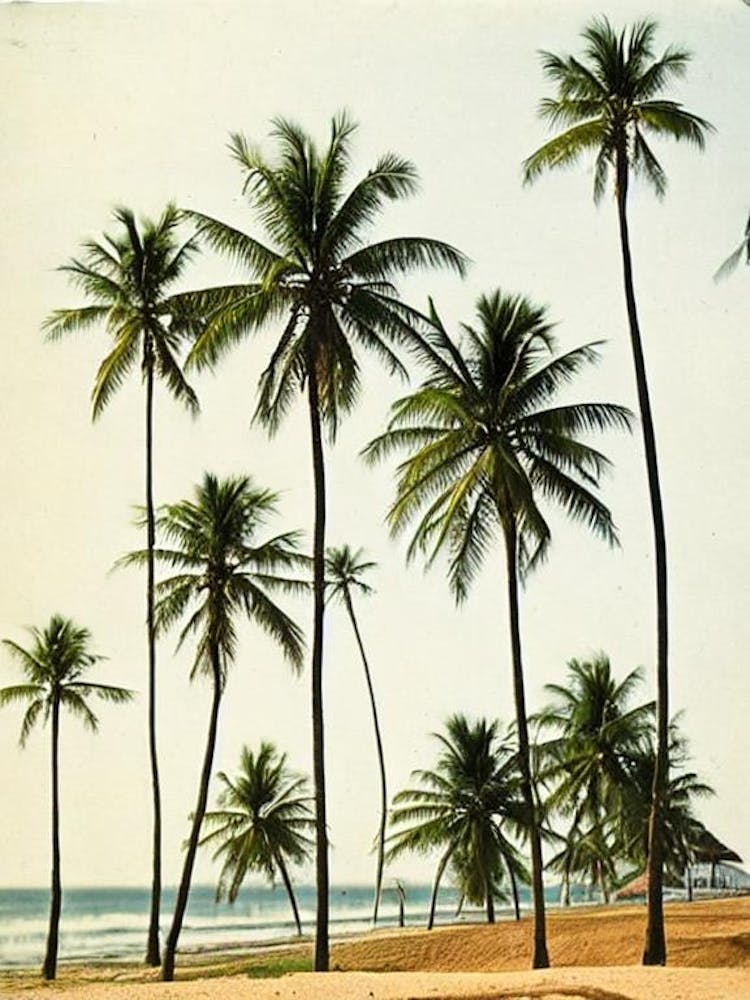 Hikkaduwa Beach Sri Lanka Vintage