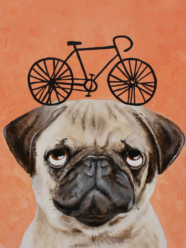 Pug With Bicycle