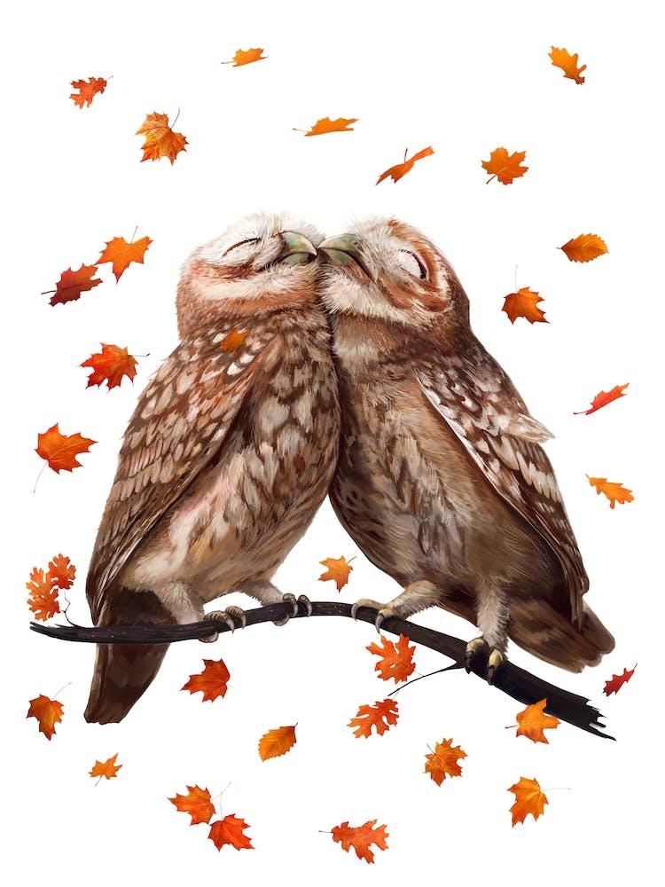 Autumn Owls
