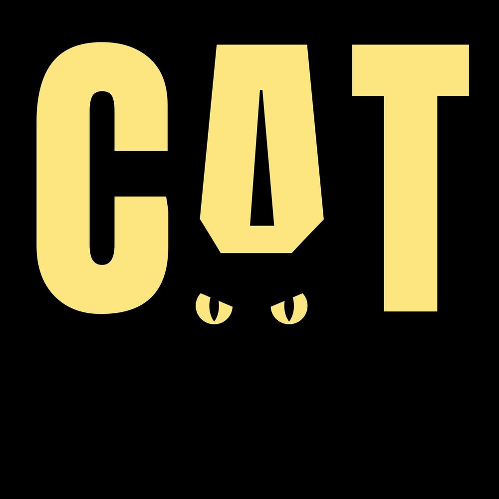 Enigmatic Black Cat