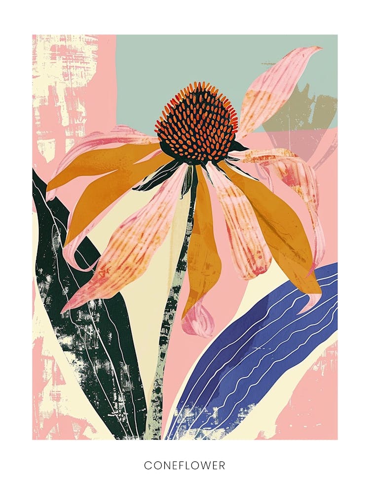 Colourful Flower Illustration Poster Coneflower 4
