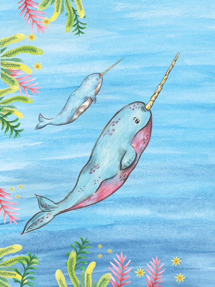 Narwhal