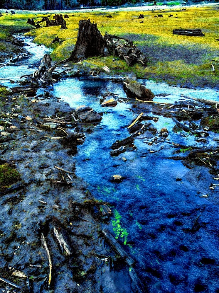 Toxic Wastland