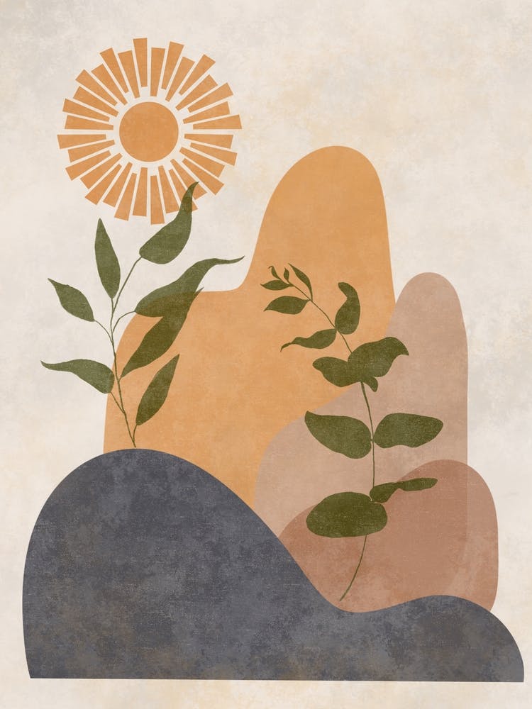 Sun And Plants 6
