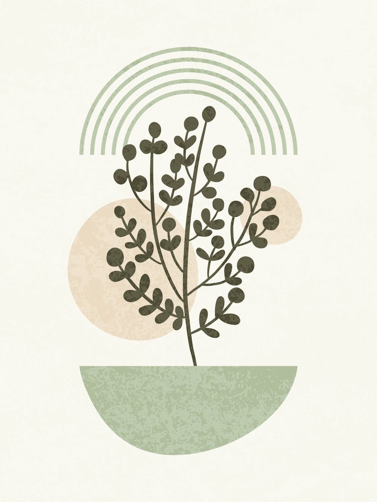 Minimal Abstract Botanical Art with Rainbow