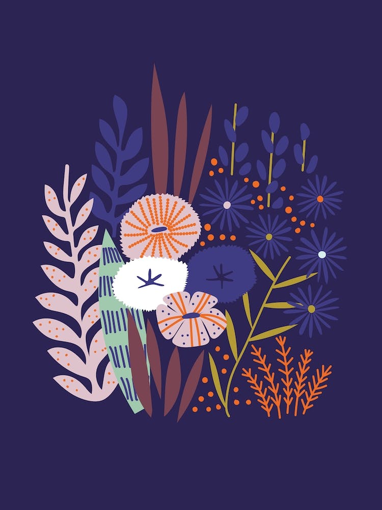 Midnight Arrangements