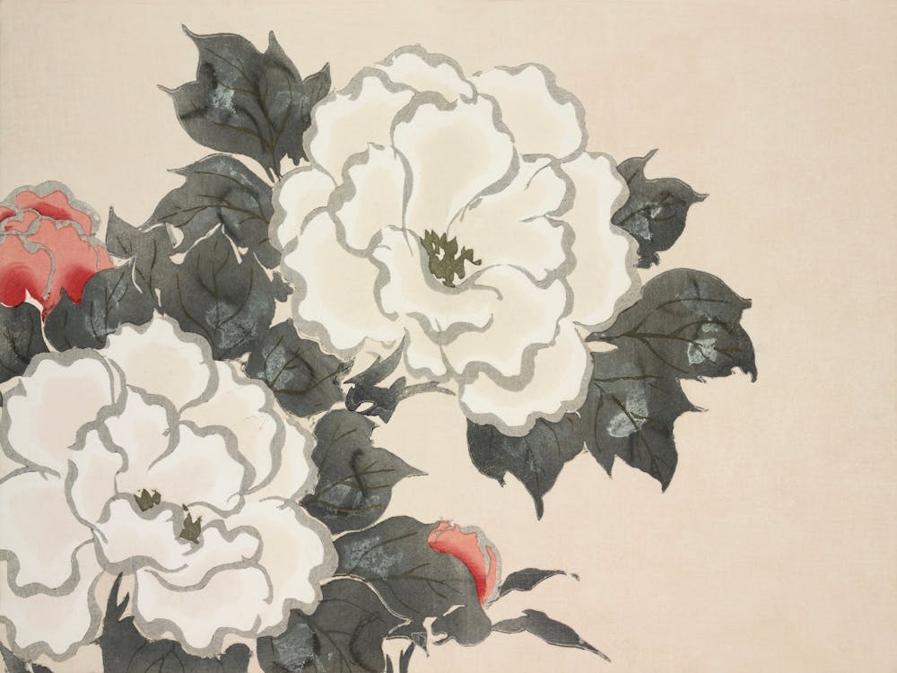 Birds From Momoyogusa –Flowers Of A Hundred Generations, Kamisaka Sekka (11)