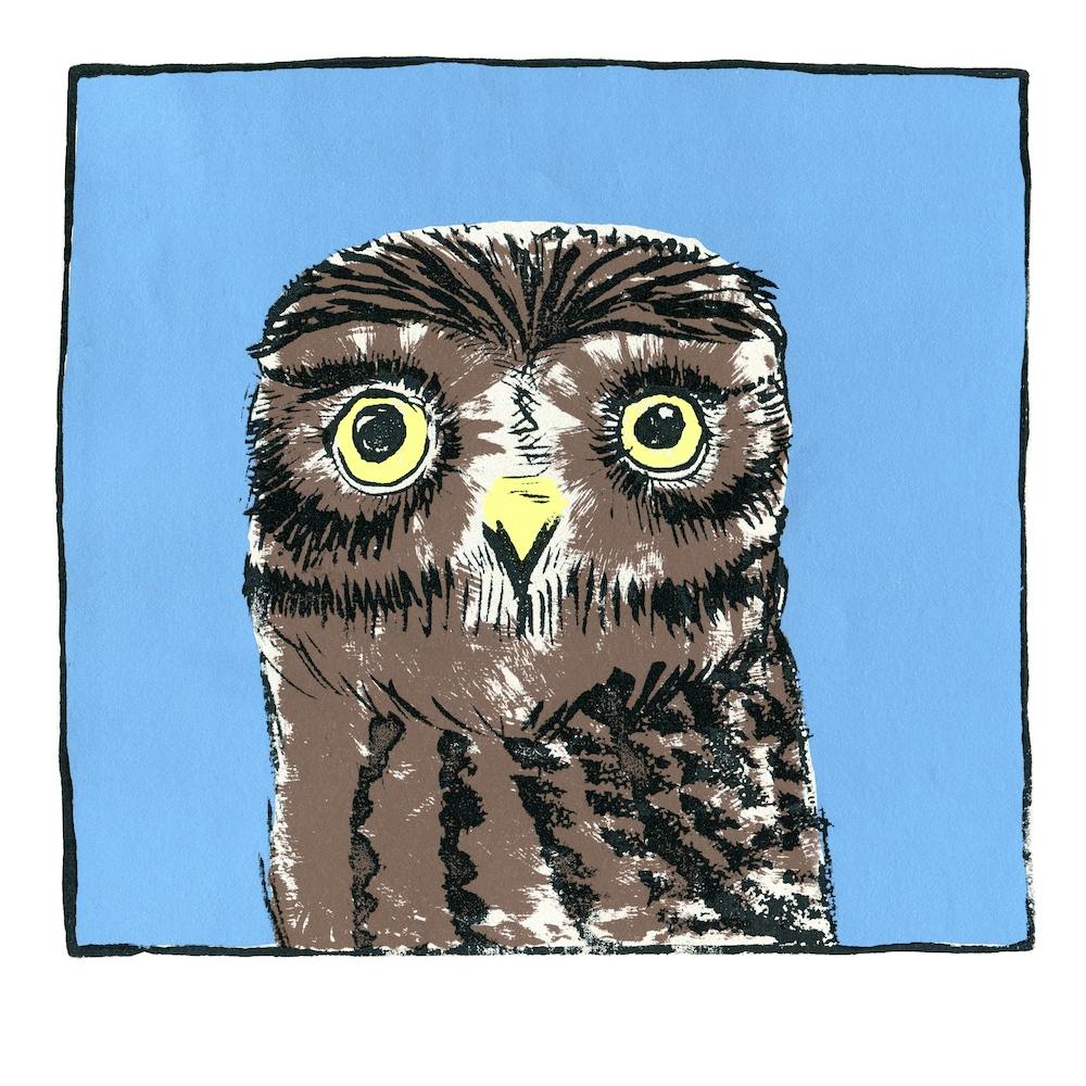 Little Owl Screenprint