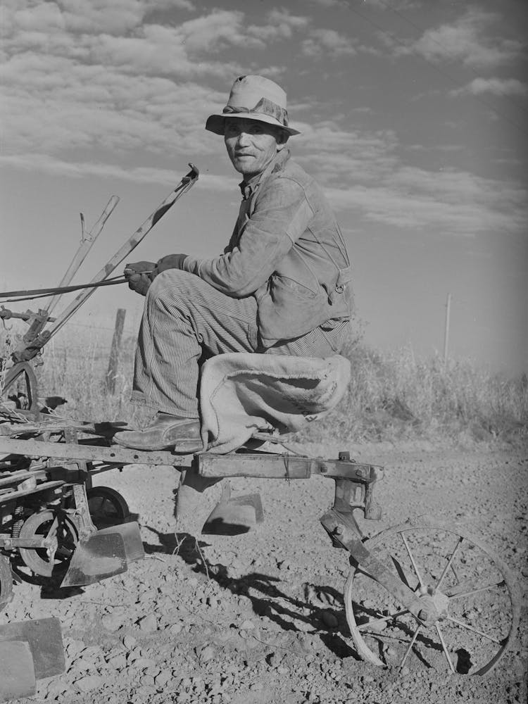 Farmer, Black Canyon Project, Canyon County, Idaho By Russell Lee