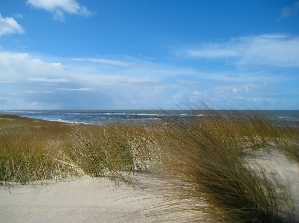 Sand Dunes