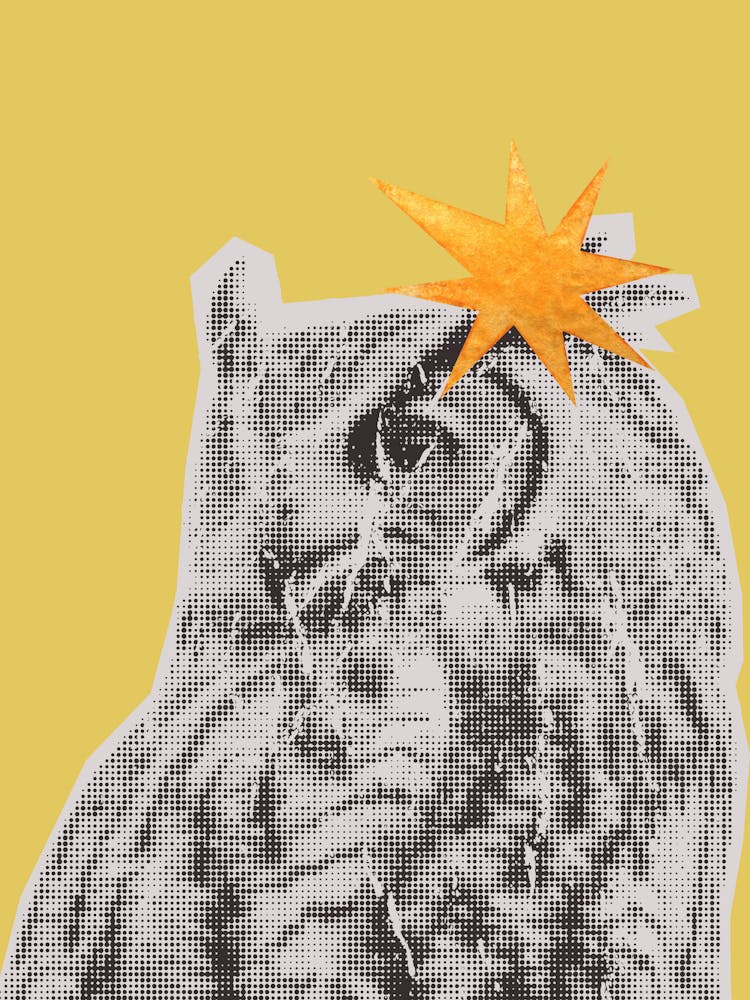 Owl With Star