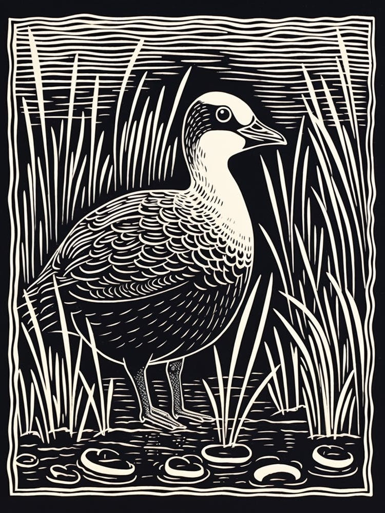 B&W Bird Linocut Coot 4