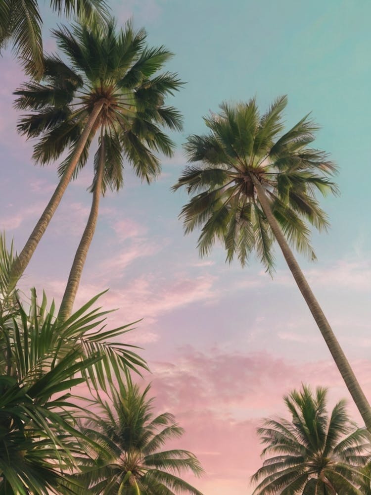 Leonardo Kino Xl A Serene And Aesthetic View Of Tall Palm Tree 0