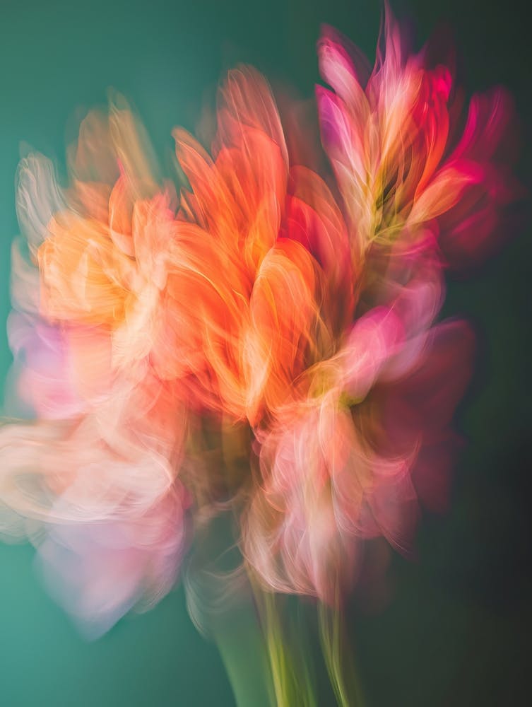 Icm Flower Green Red