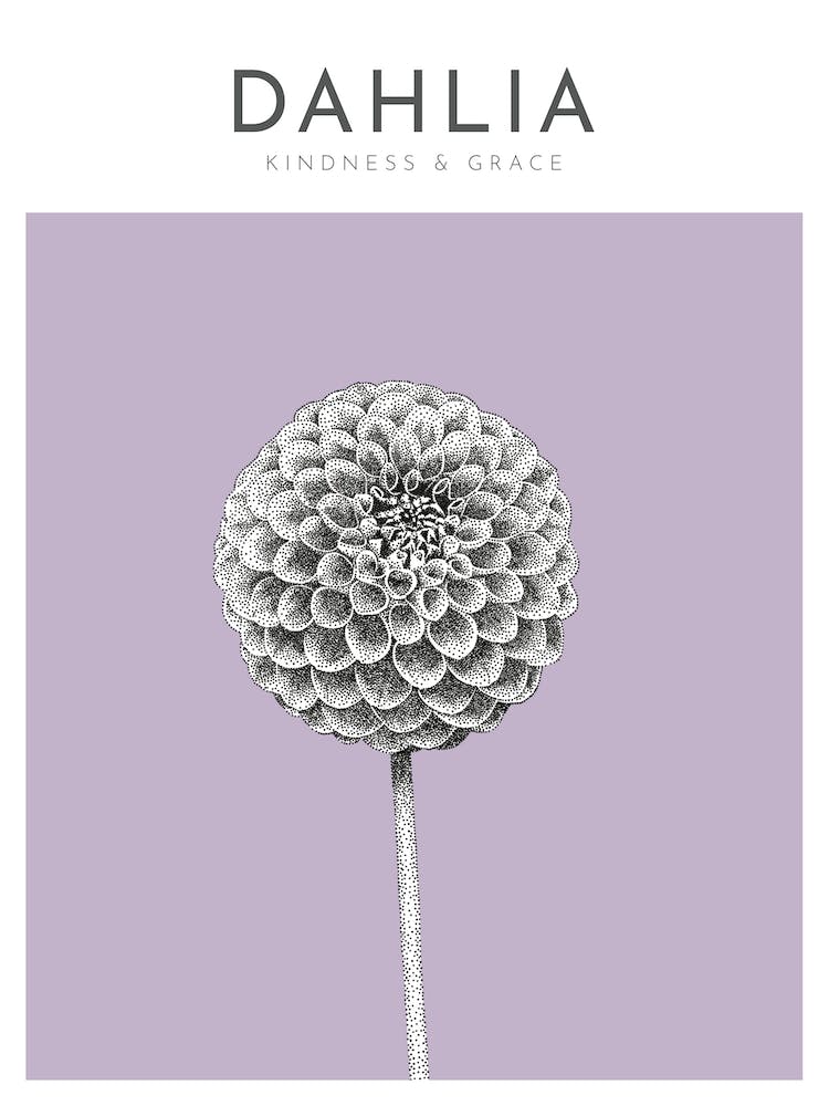 Dahlia Print Modern Flower Poster Bamber Prints