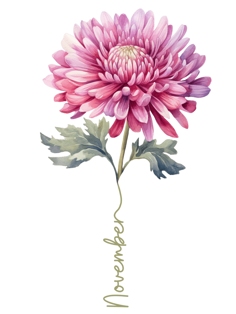 November Birth Flower Birth Month Botanical