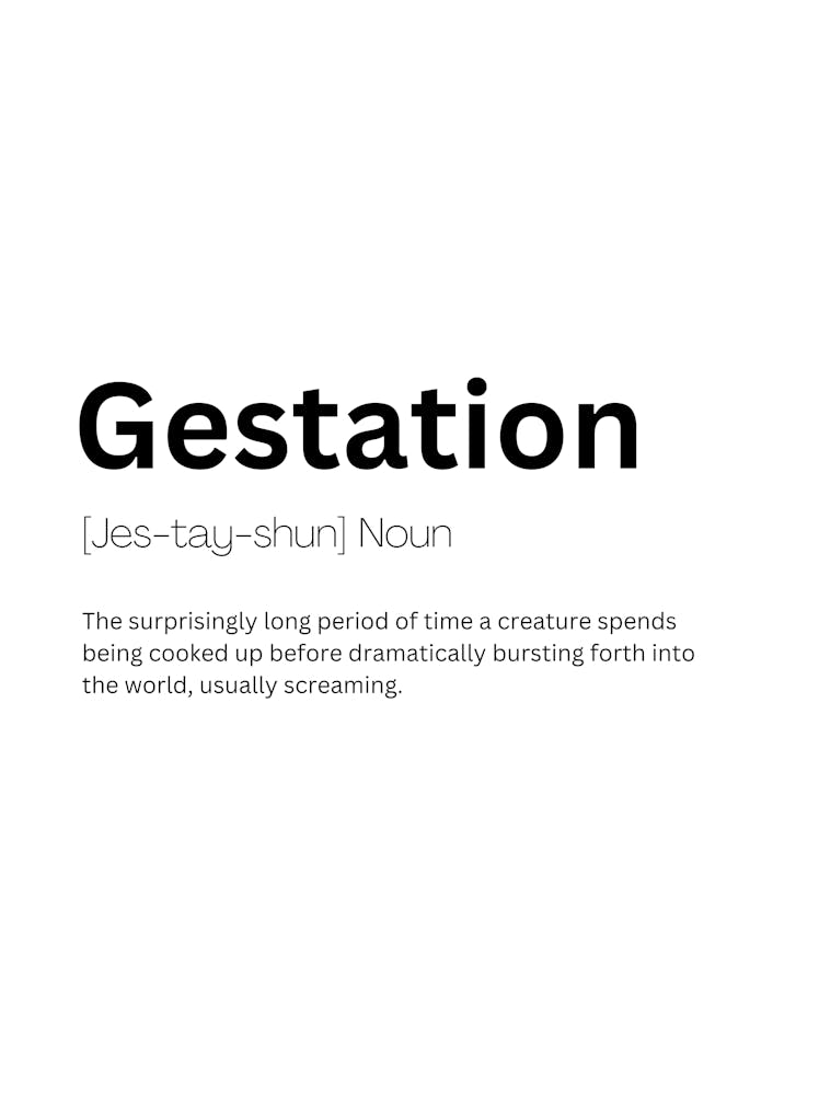 Gestation Definition Meaning