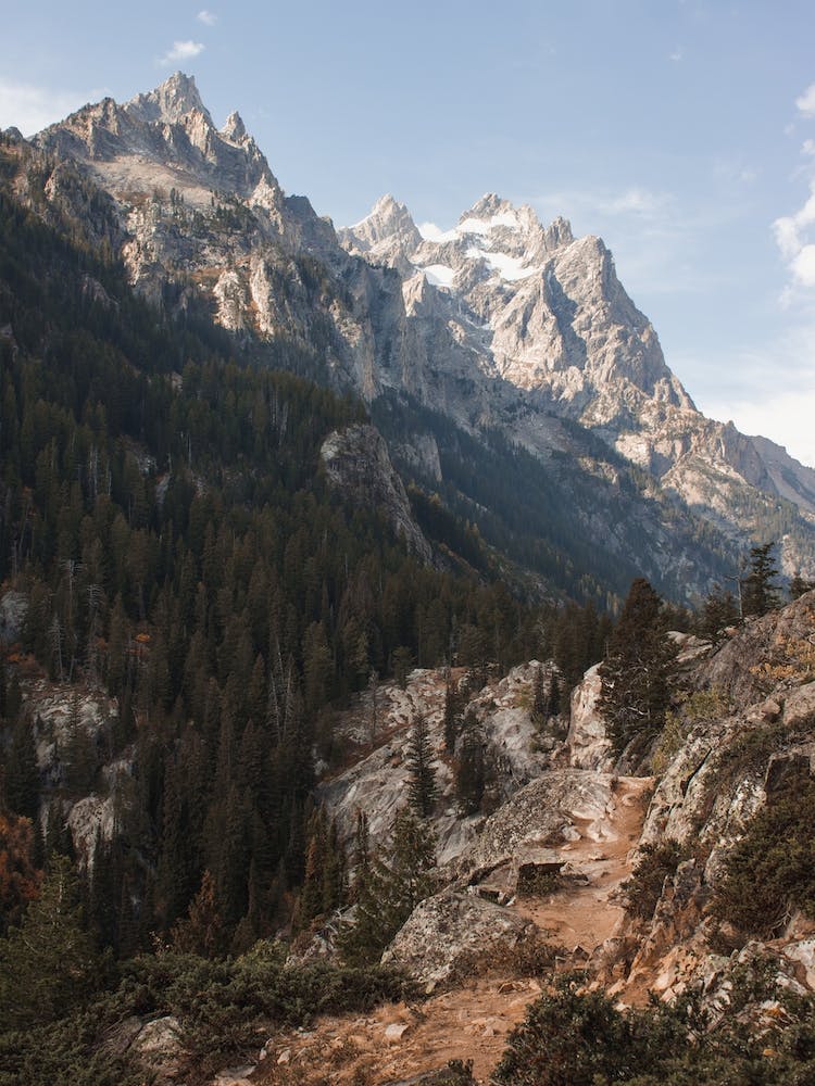 Rugged Landscape