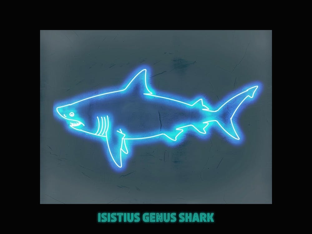 Neon Isistius Genus Shark 2 Poster