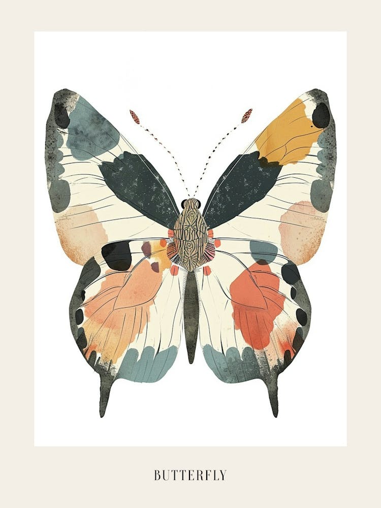 Colourful Insect Illustration Butterfly 28 Poster