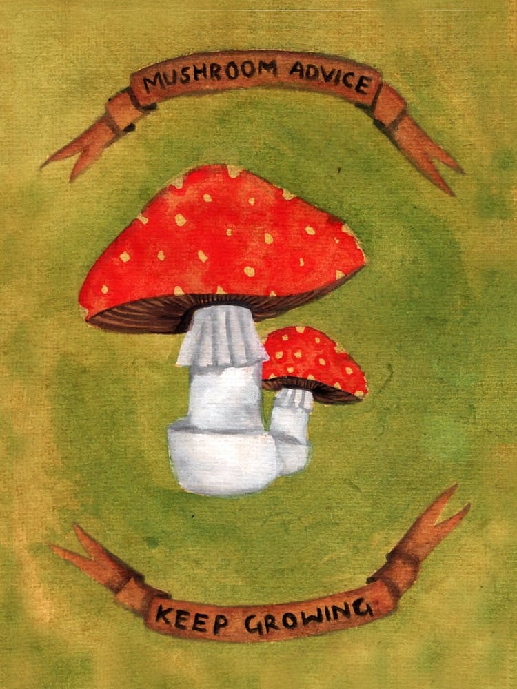 Autumn Mushrooms