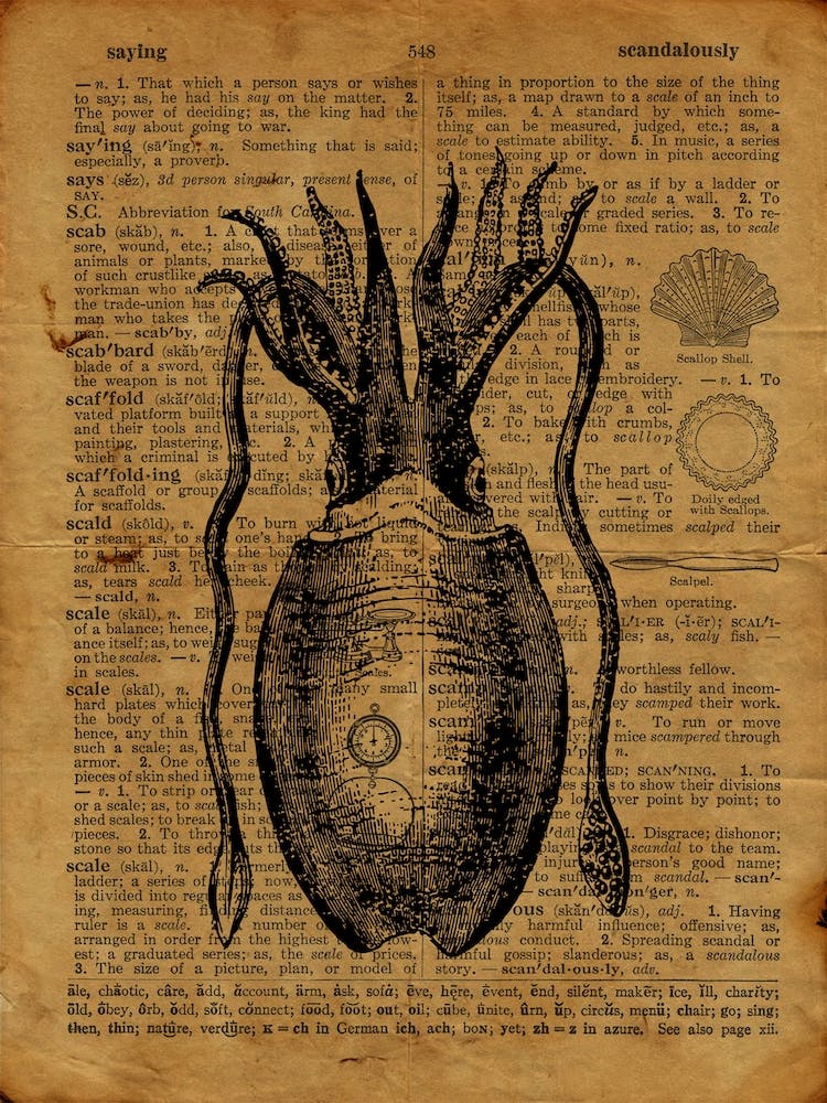 Tintenfisch