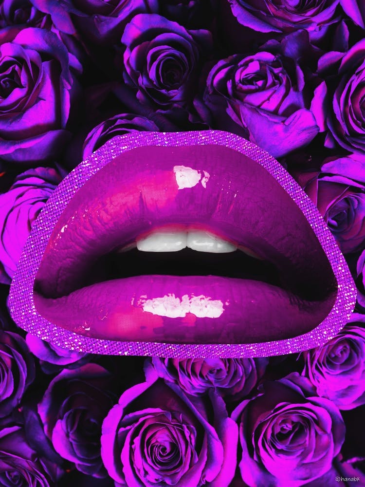 Purple Rose Kiss Purple