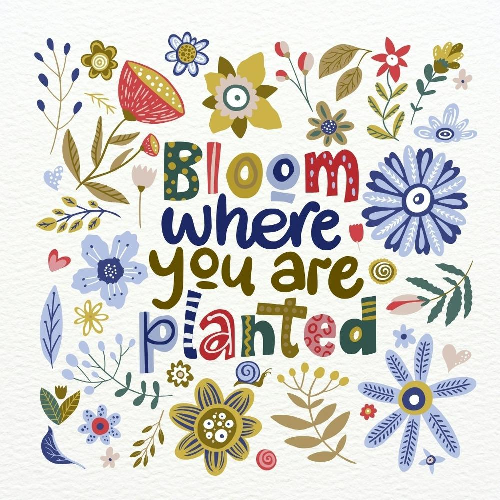 Bloom Where You Are Planted