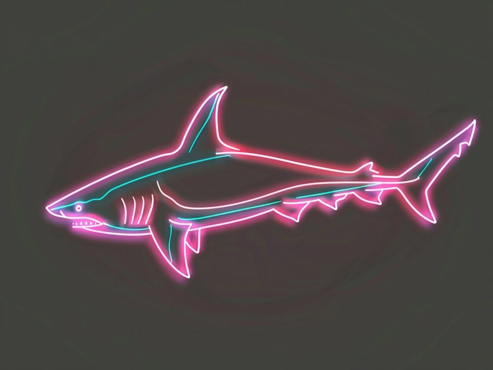 Requin Nourrice Rose Néon 3