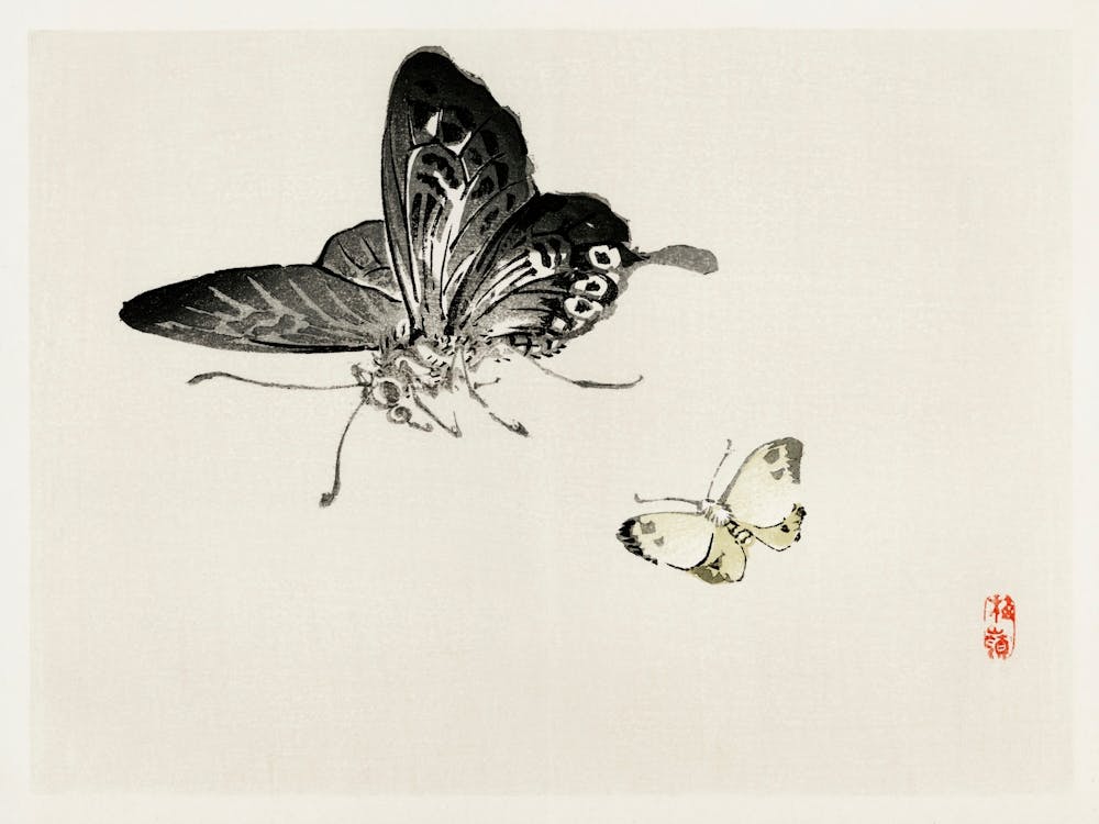 Butterflies, Kōno Bairei